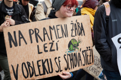 DemonstraceZaKlima_MiriamPruzincova-9